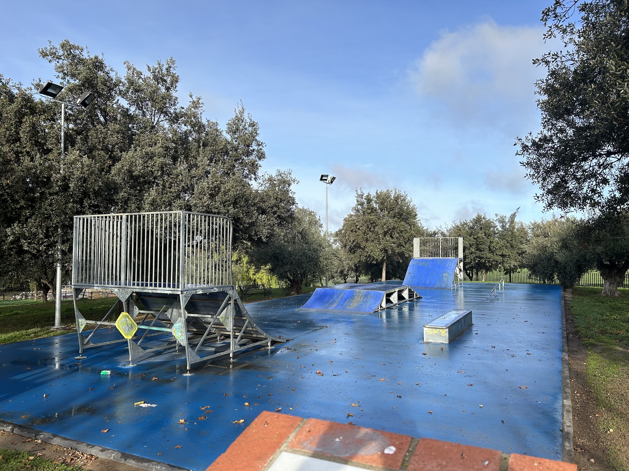 Villafranca de los Barros skatepark